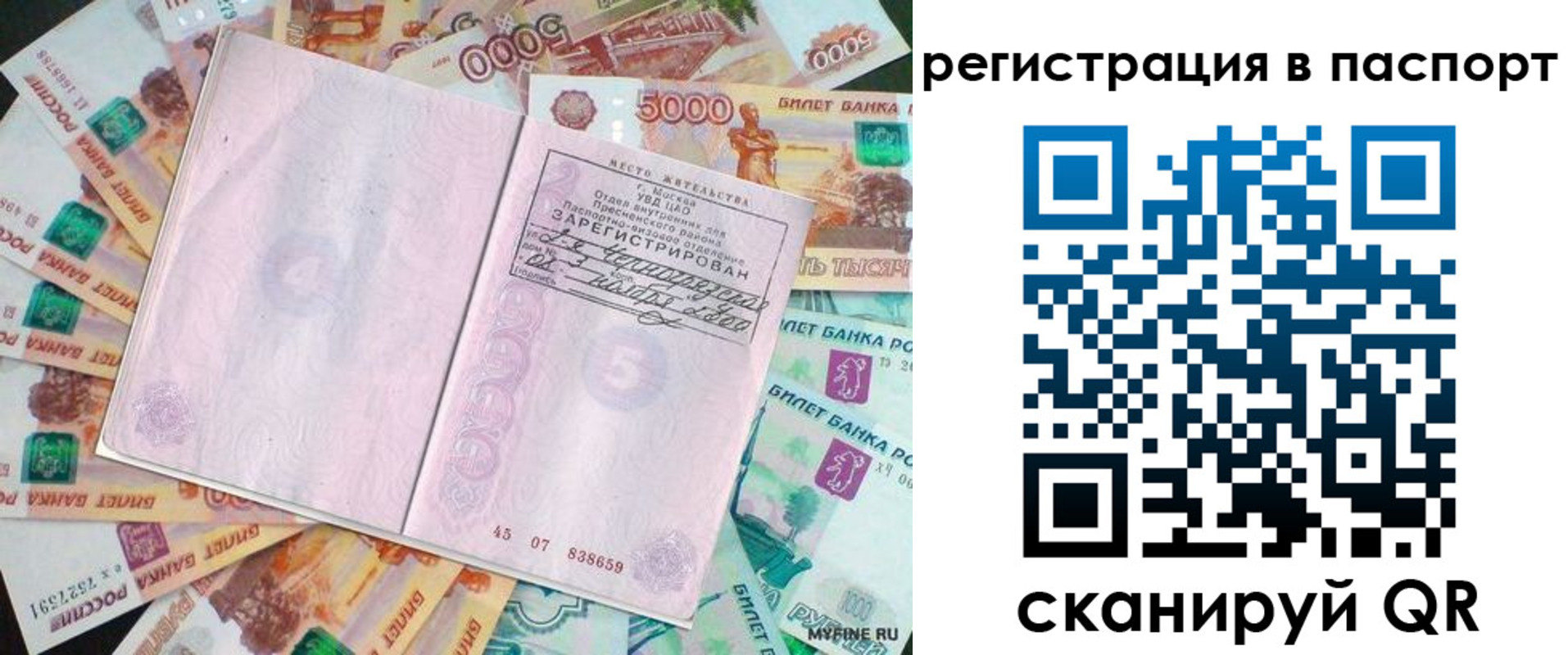 найти адрес прописки в Вольске